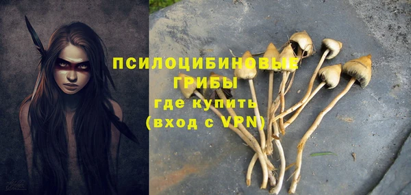тгк Алзамай